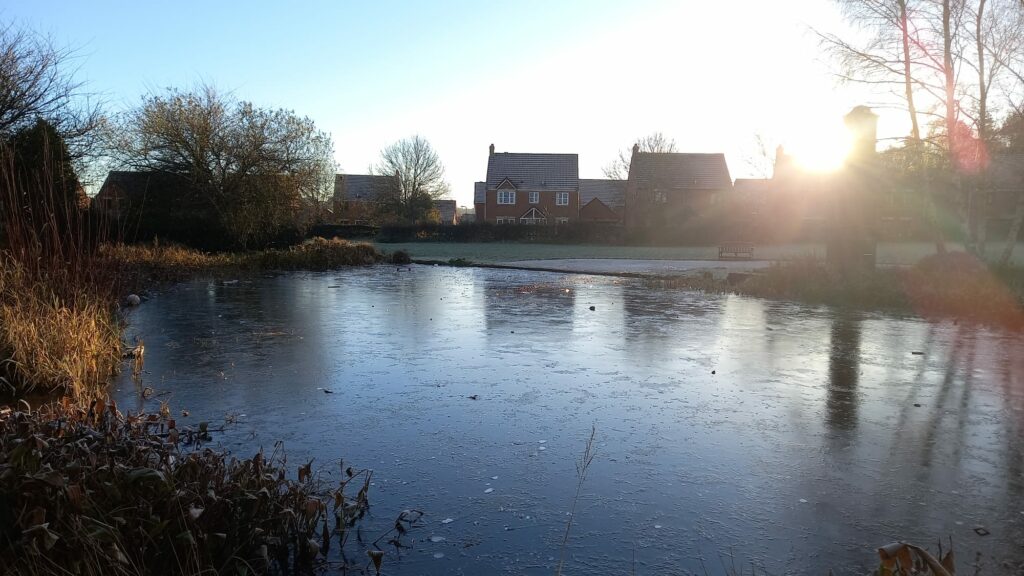 A photograph of an icy pond, with a row of houses in the background and the sun peeking over them