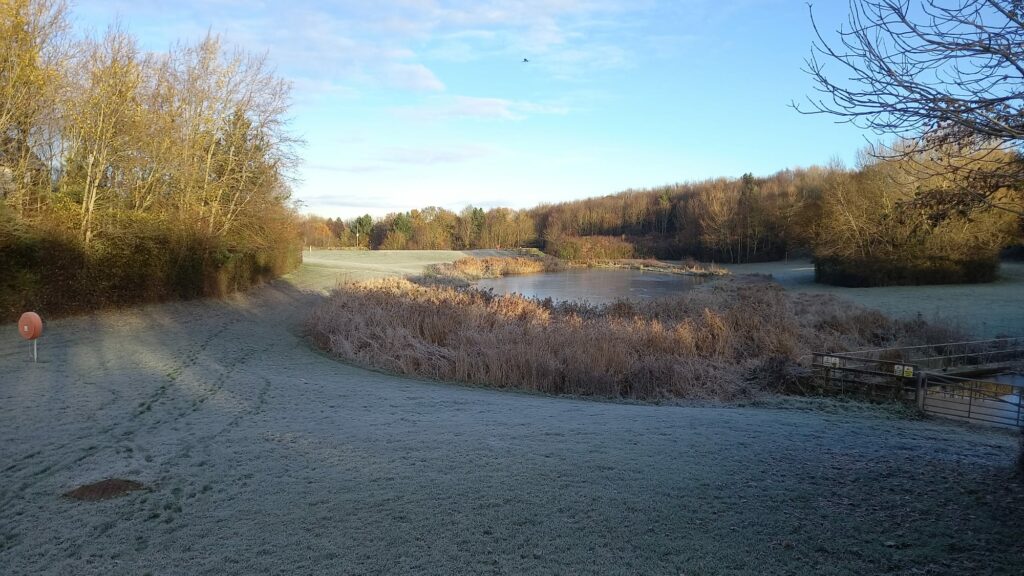 A landscape photograph with a pond in the distance and grass all around, surrounded by trees. There are footsteps in the frosty grass