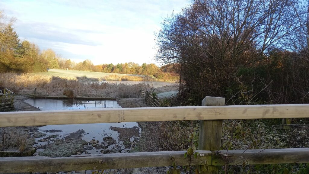 A photograph of a large pond, taken over the top of a wooden fence. Frosty grass is illuminated by the sun in the distance