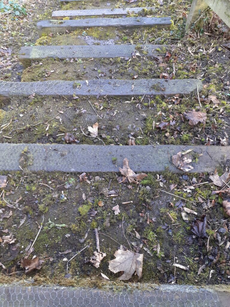 A series of mesh-covered steps, covered in mud and leaves