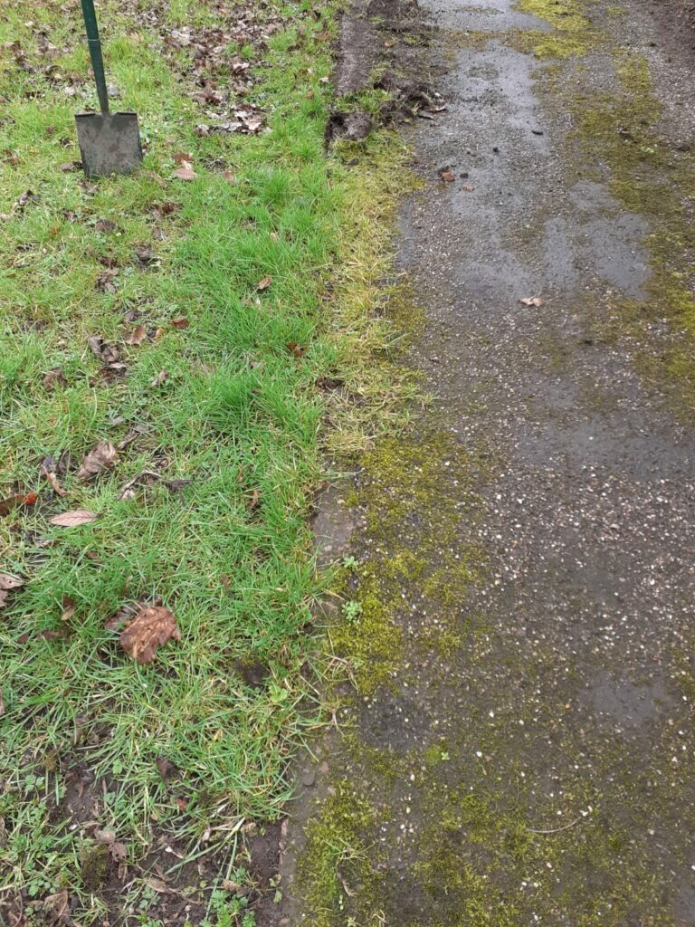 A footpath overgrown with grass and moss