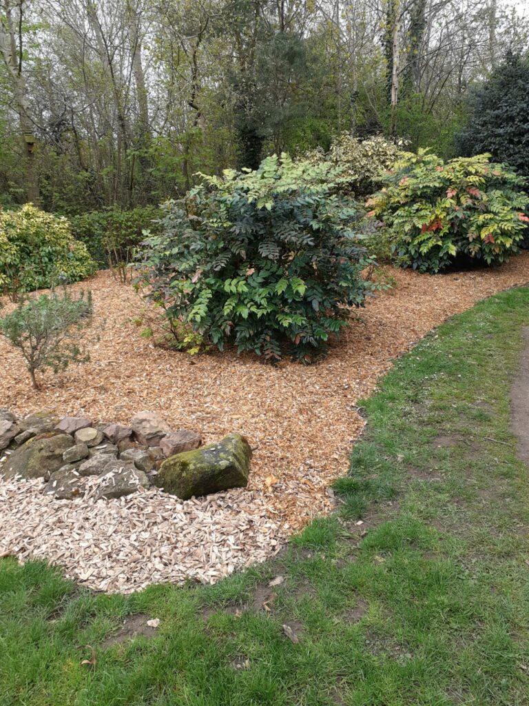 A photo of a freshly-replaced bark garden