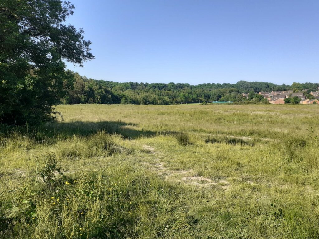 A photo of a field, with houses and trees in the background