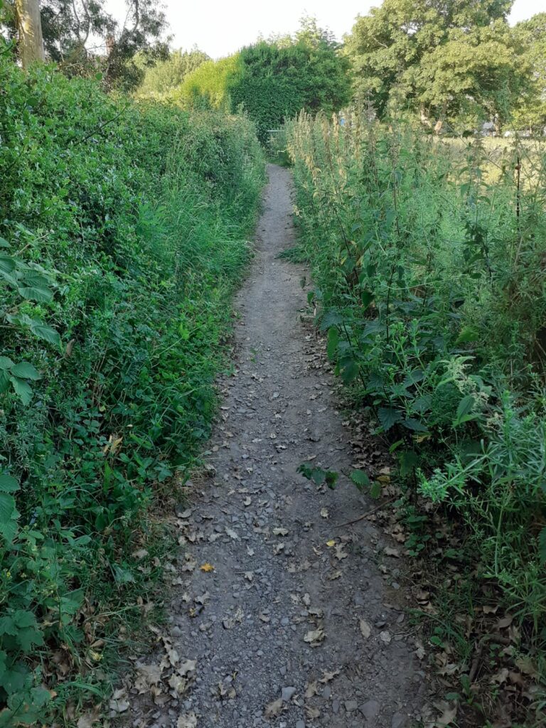 A photo of a narrow dirt footpath, with weeds growing either side
